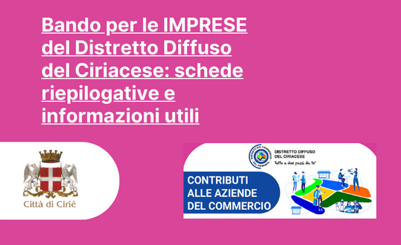 Bando per le imprese del Distretto Diffuso del Ciriacese: schede riepilogative e informazioni utili