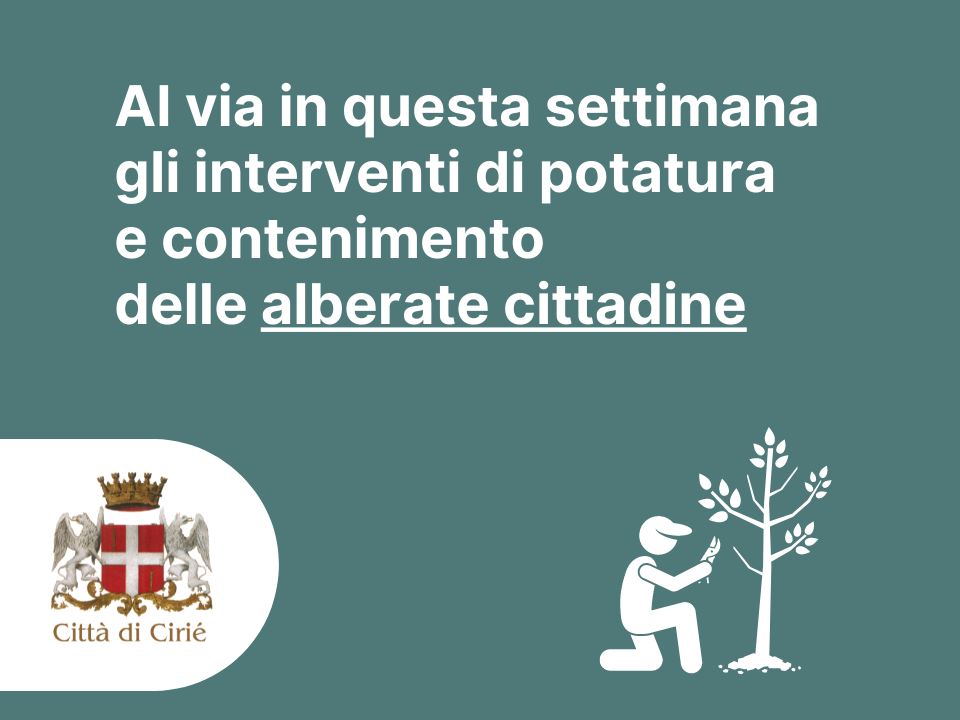 Al via gli interventi di potatura e contenimento delle alberate cittadine