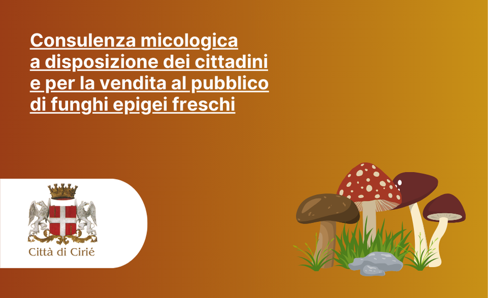 Consulenza micologica a disposizione dei cittadini e per la vendita al pubblico di funghi epigei freschi