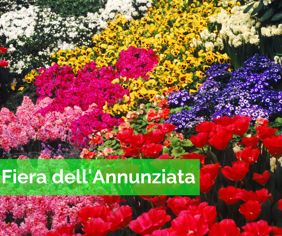 Fiera dell'Annunziata