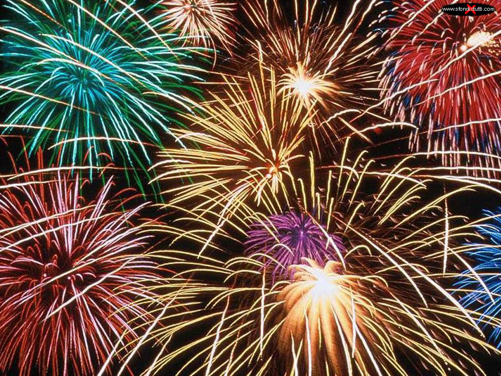 Attenzioni per la tutela delle persone e degli animali durante i festeggiamenti di fine anno
