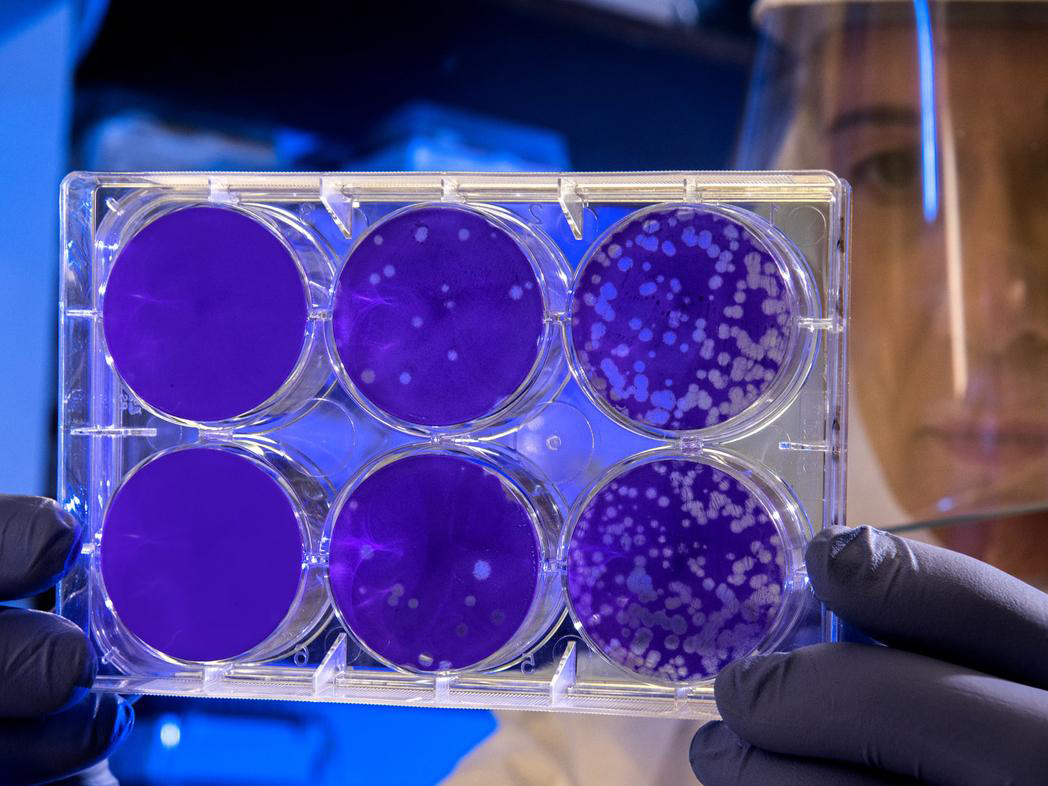 Coronavirus: chiusura scuole e altre misure precauzionali fino a sabato 29 febbraio 2020