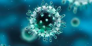 Epidemia da coronavirus: la Regione conferma la sospensione dei servizi educativi. 