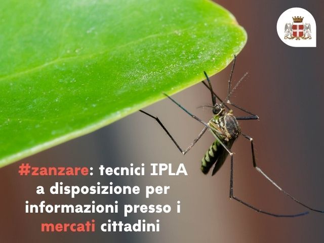  Lotta alle zanzare: i tecnici IPLA a disposizione per informazioni presso i mercati cittadini