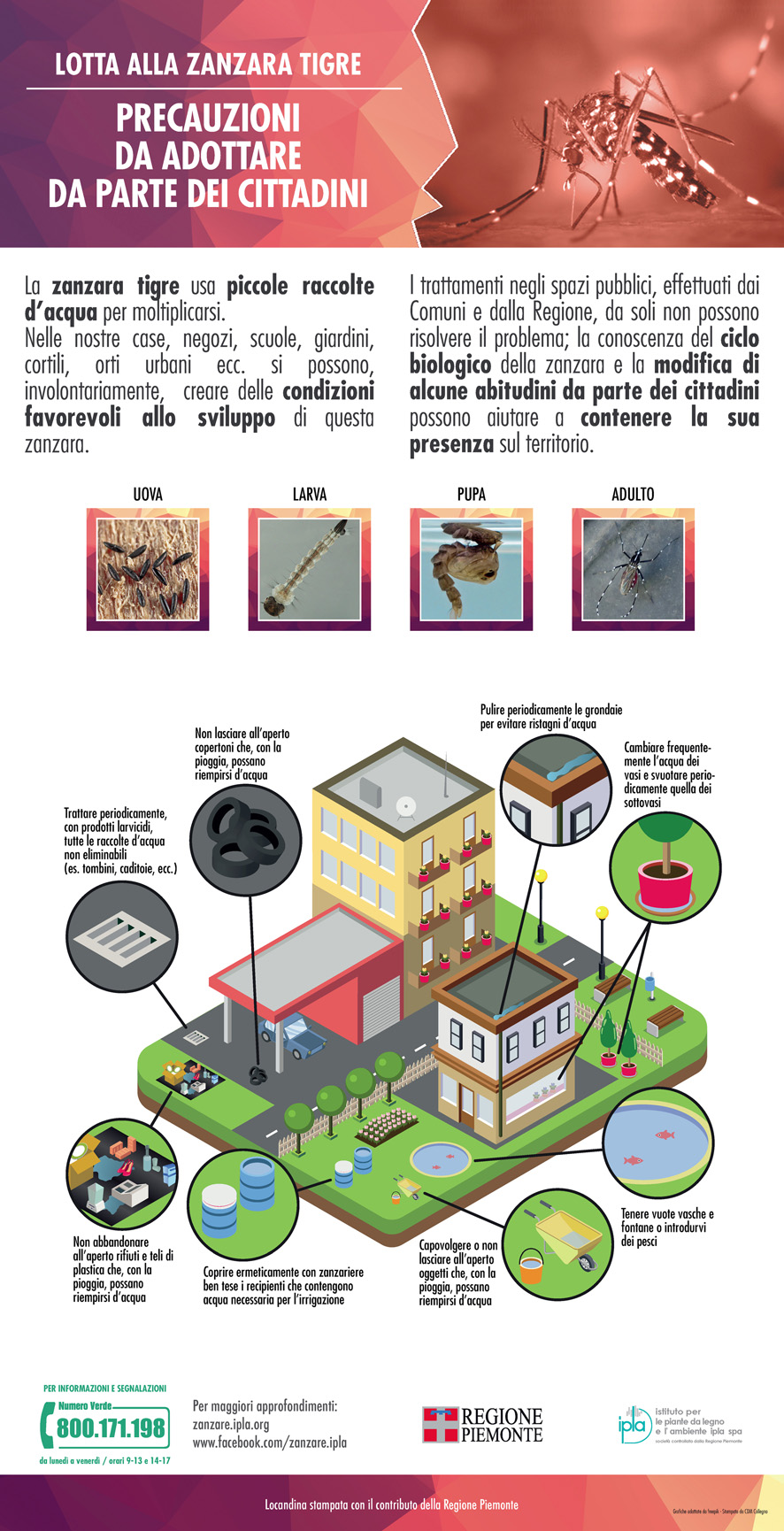 Il Dipartimento di Prevenzione dell'ASLTO4 ha richiesto la diffusione delle informazioni sulle misure di prevenzione e controllo delle arbovirosi. 