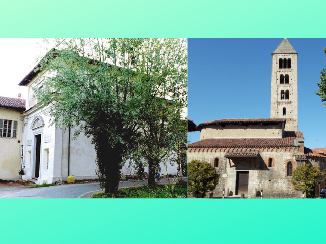 Chiese di San Martino e Robaronzino: aperte al pubblico domenica 14/4